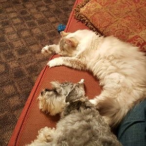 Meet your Posher, Elizabeth