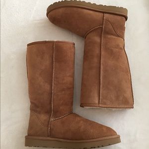 Women's Ugg Classic Tall (Chestnut)