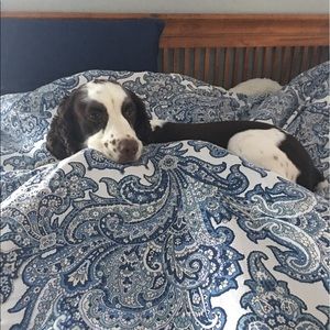 Meet your Posher, Courtney