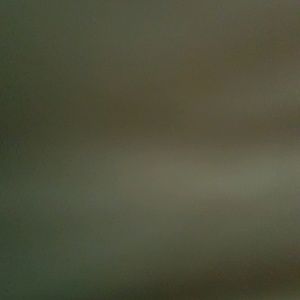 Meet your Posher, Paige