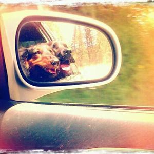 Meet your Posher, Malesah