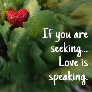 Meet your Posher, Lisa anne