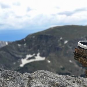 Meet your Posher, Molly