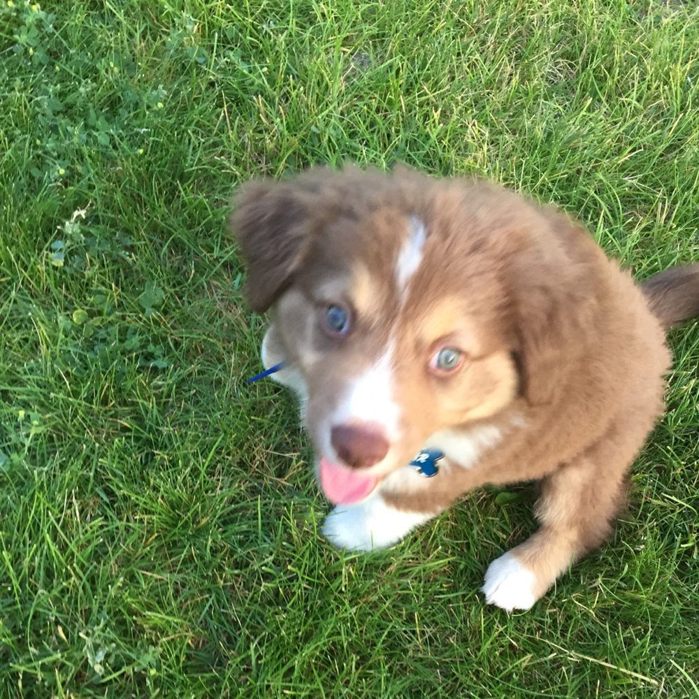 Meet your Posher, Jess