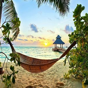 Meet your Posher, Wanda