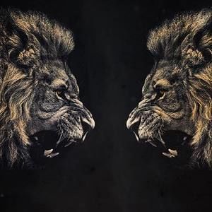 Meet your Posher, Arnold