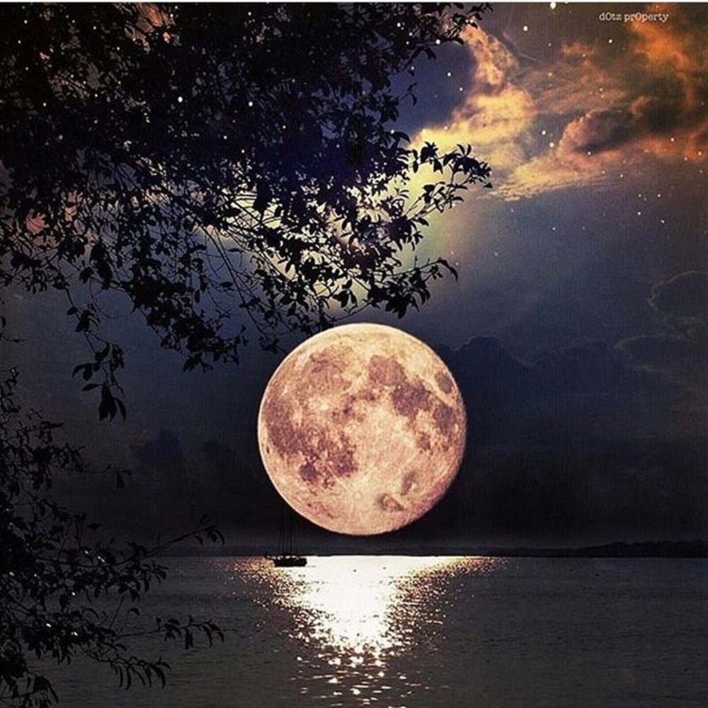 Meet your Posher, Cassie