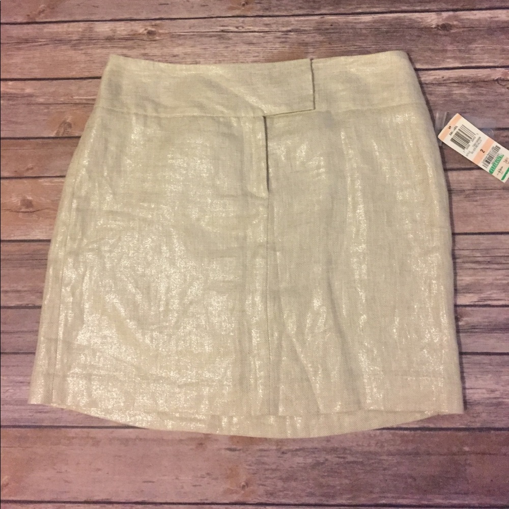 Metallic INC Skirt