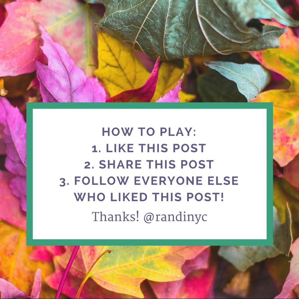 NEW follow game! Get in on the fun! - Picture 2 of 2