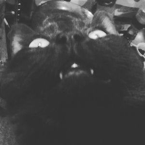 Meet your Posher, Jay