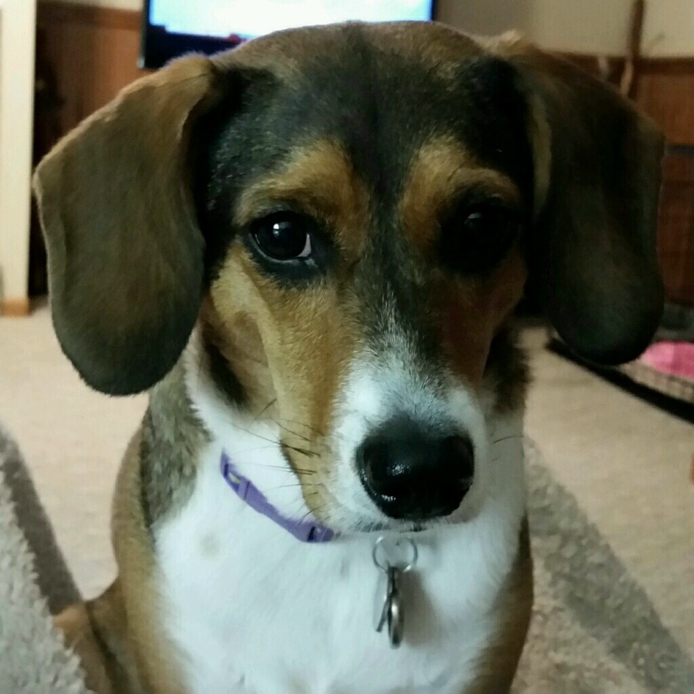 Meet your Posher, Denise