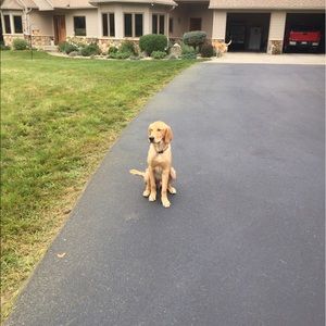 Meet your Posher, Jason