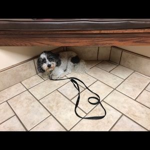 Meet your Posher, Aimee