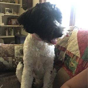 Meet your Posher, Nikki