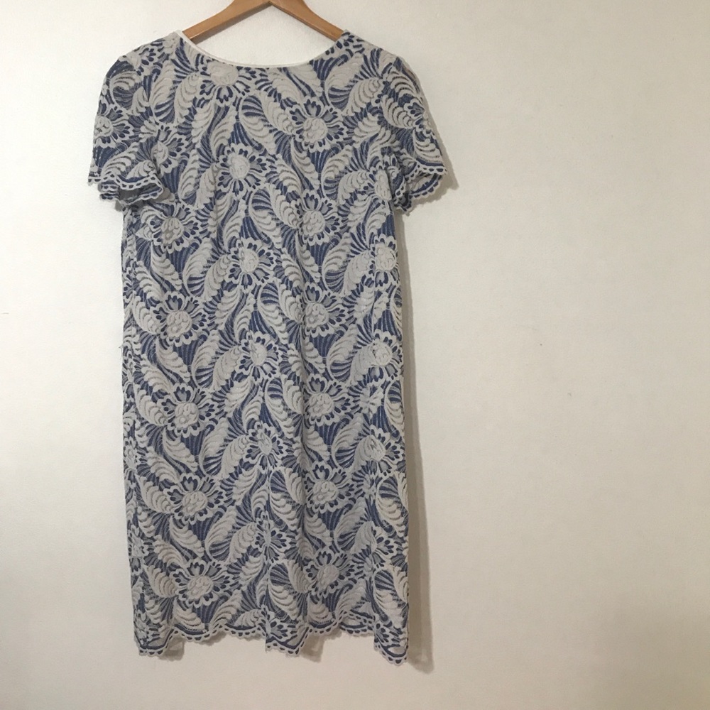 Maggy London lace dress