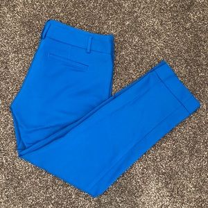 Express Blue Dress Pant