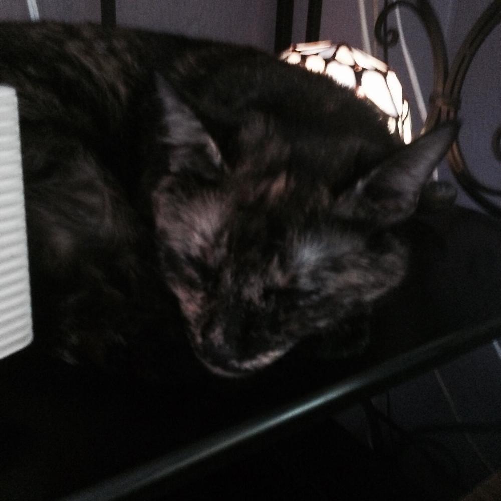 Meet your Posher, Candace