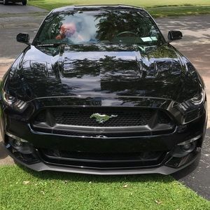 Meet your Posher, Anthony