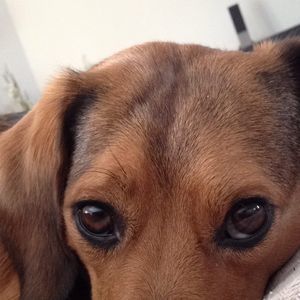 Meet your Posher, Jenna