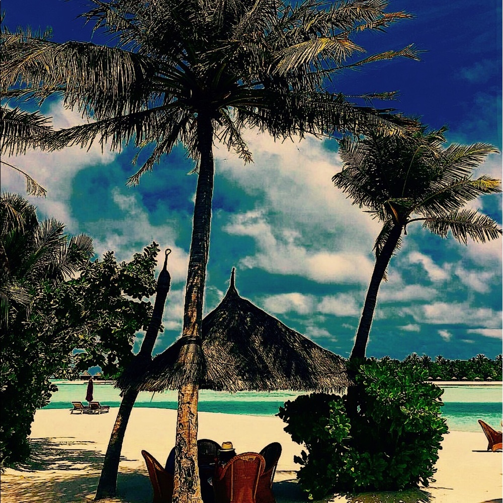 Meet your Posher, The store