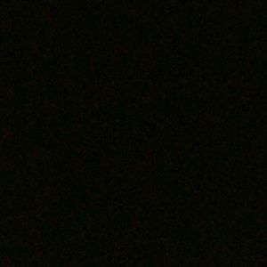 Meet your Posher, Cesar