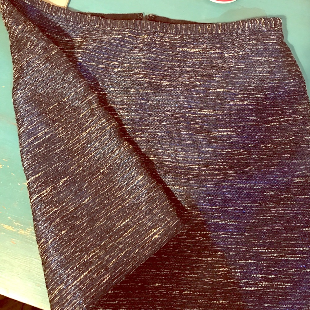 Madewell Sparkle skirt