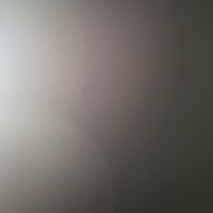 Meet your Posher, Tasha