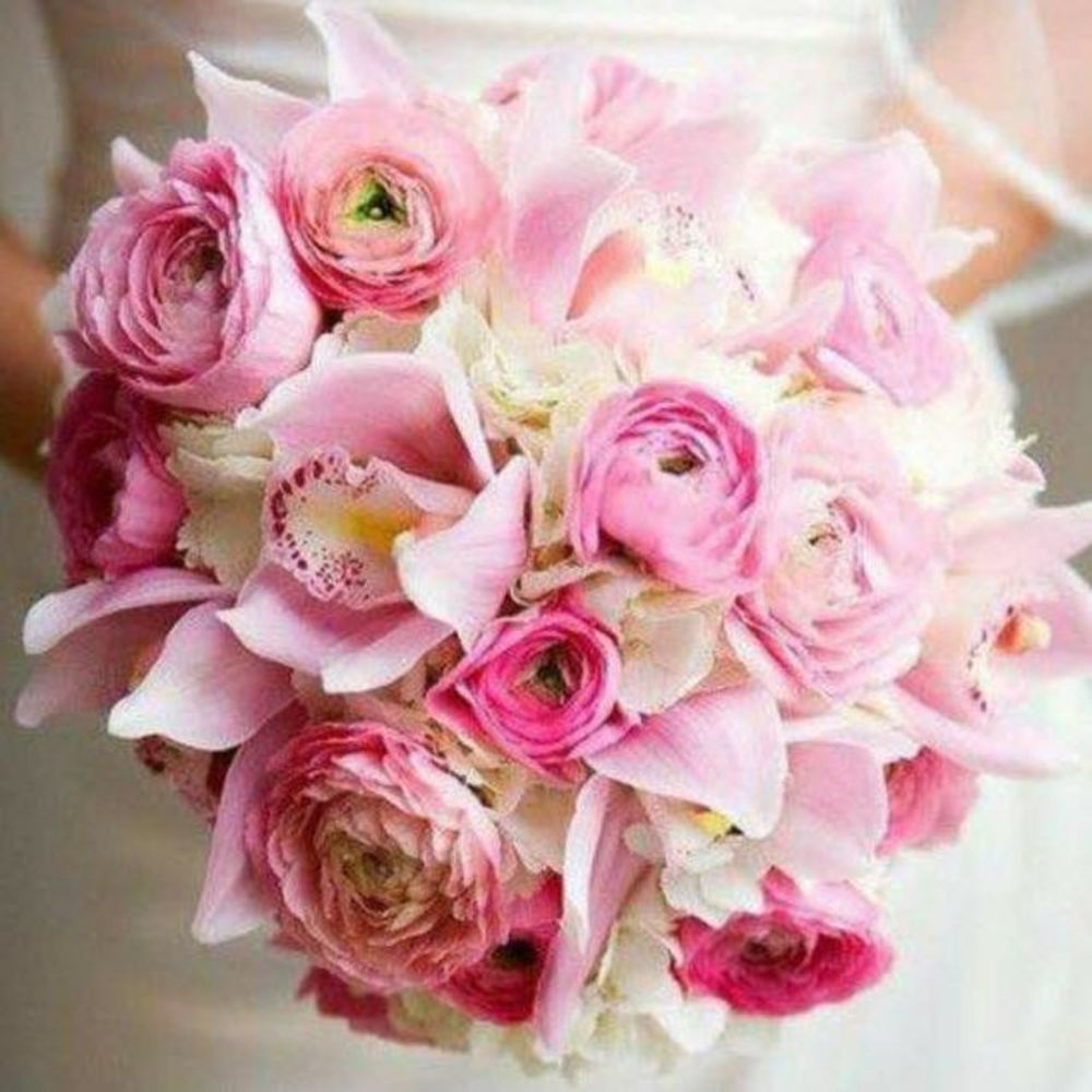 Meet your Posher, Maryam