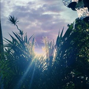 Meet your Posher, Leneah