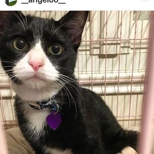 Meet your Posher, Ellen