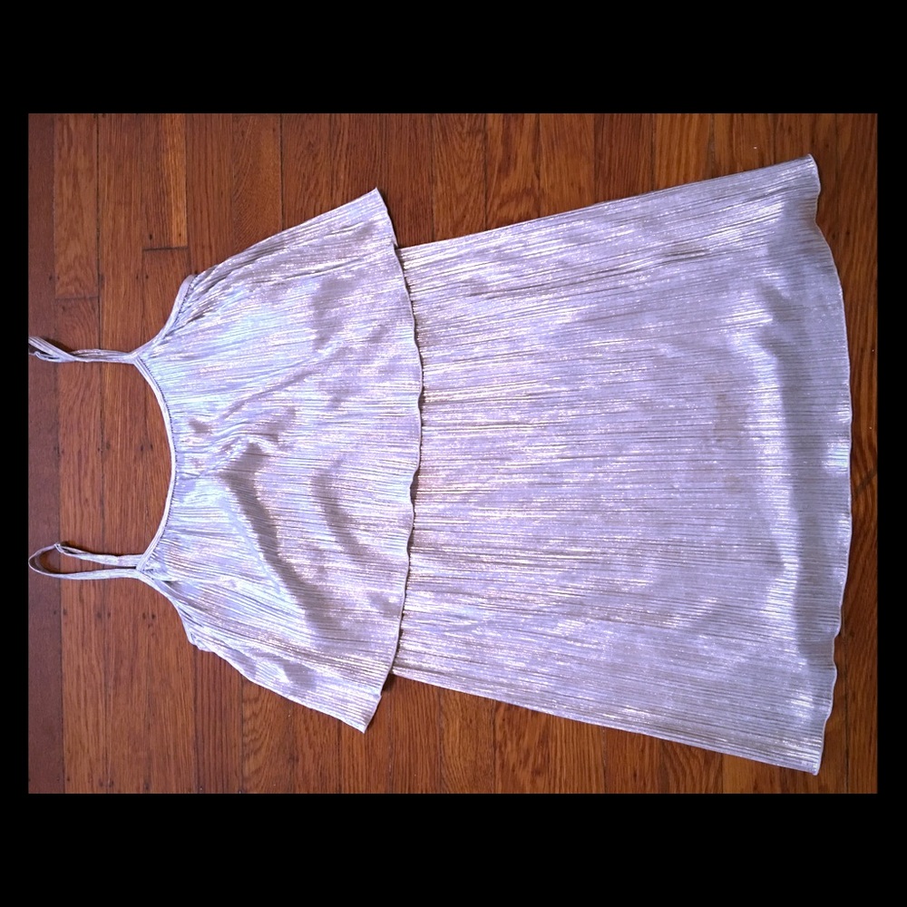 Pleated Silver Layered Dress