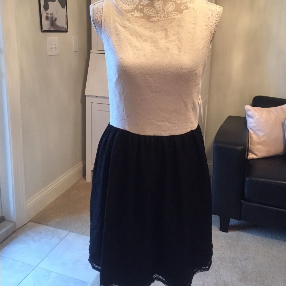 NWT ivory and black lace dress
