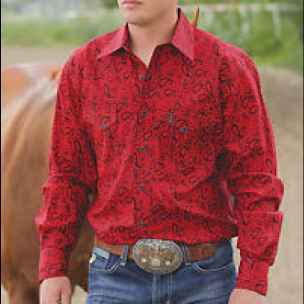 Cinch Shirt