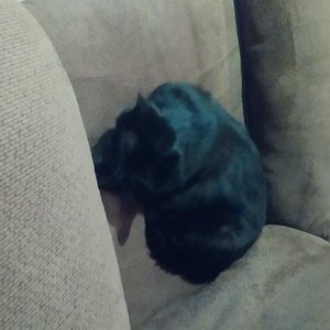 Meet your Posher, Jason