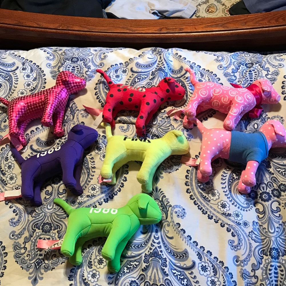 Victoria’s Secret PINK dog collection