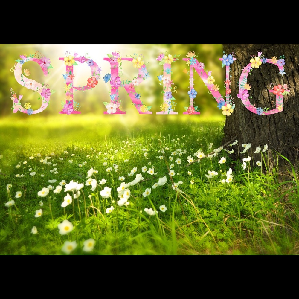 EVERYTHING BELOW THIS POST IS SPRING OR SUMMER🌻