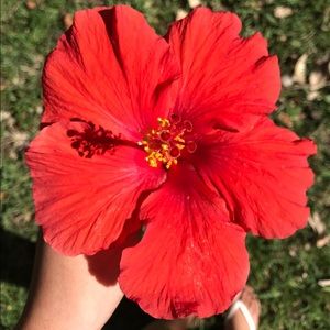 Meet your Posher, Madison