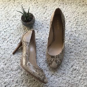 ✨ COACH SNAKE PRINT HEELS ✨