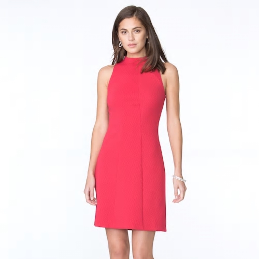 Pink A line Chaps Dress