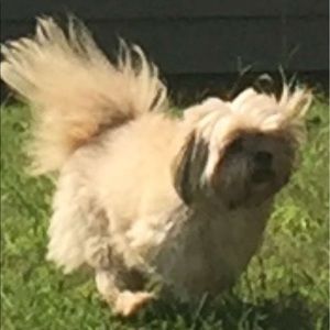 Meet your Posher, Denae