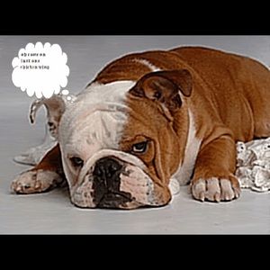 Meet your Posher, Colin