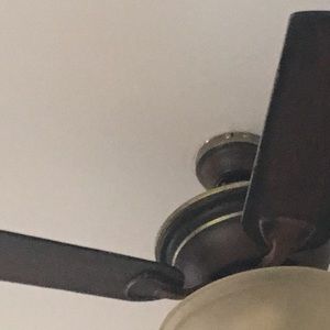 Meet your Posher, Adelaido