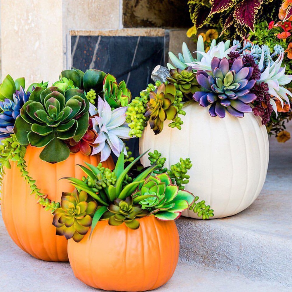 Meet your Posher, Jen