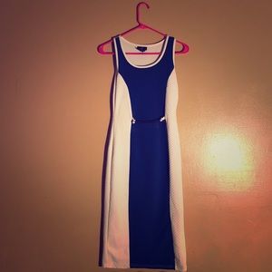 Royal Blue and White Body-con Dress
