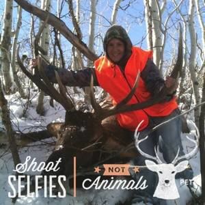 Meet your Posher, Mandi