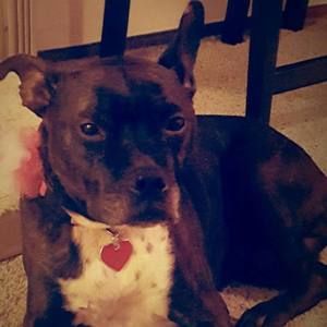 Meet your Posher, Theresa