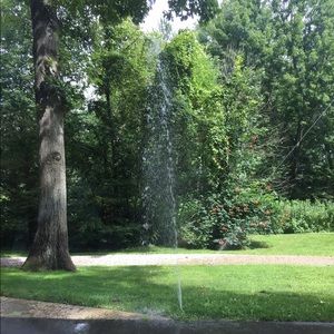 Meet your Posher, Paula