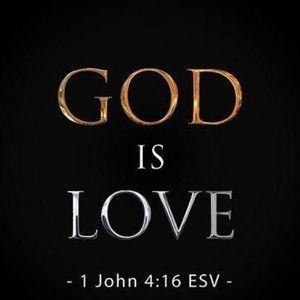 Meet your Posher, Avis