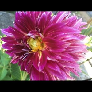 Meet your Posher, Christa