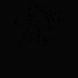 Meet your Posher, Chase